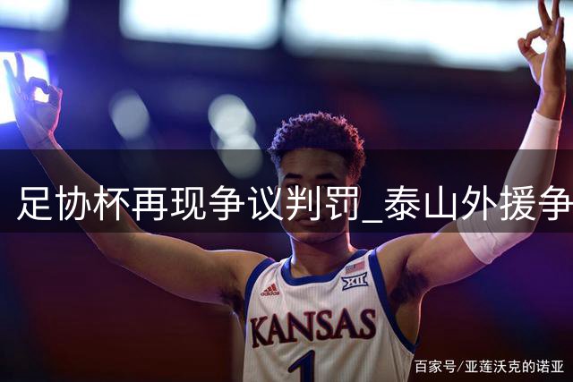 足协杯再现争议判罚 泰山外援争顶染黄引热议